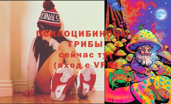 метамфетамин Богородицк